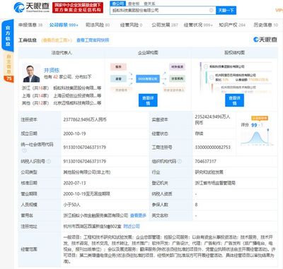 螞蟻集團上市在即，金融信息技術外包助推全球最大規模IPO